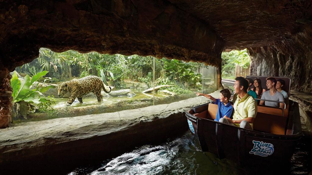 River Wonders - Image 4